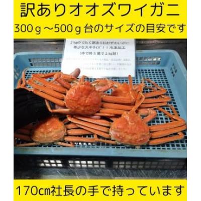 ふるさと納税 白老町 訳あり オオズワイガニオス 大サイズ (約300〜500g) 浜ゆで 4〜5尾で2kg