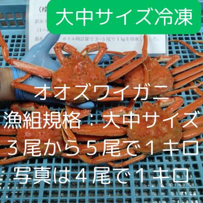 ふるさと納税 白老町 訳あり オオズワイガニオス 大中サイズ (約200-350g) 浜ゆで 3-5尾で1kg