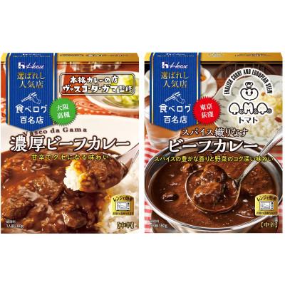ふるさと納税 江南市 ハウス 選ばれし人気店 濃厚ビーフカレー &amp;スパイス織りなすビーフカレー×各10個