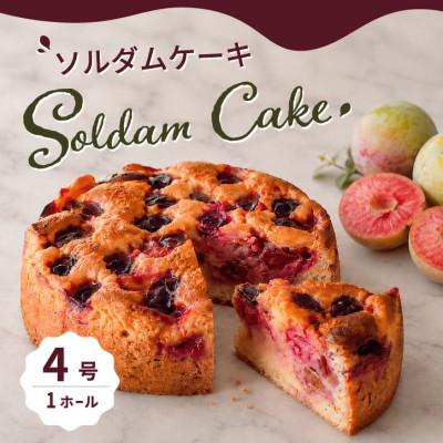 ふるさと納税 山梨市 すもも丸ごとケーキ 山梨市産ソルダムをふんだんに使用した贅沢なフルーツケーキ 4号 1ホール