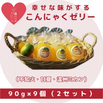 ふるさと納税 太良町 幸せな味がする手づくりこんにゃくゼリー 90g×9個入り(2セット)[O-38]