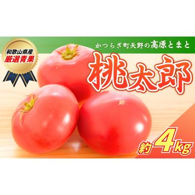 ふるさと納税 かつらぎ町 太陽の恵みたっぷりの天野とまと[桃太郎トマト約4kg]