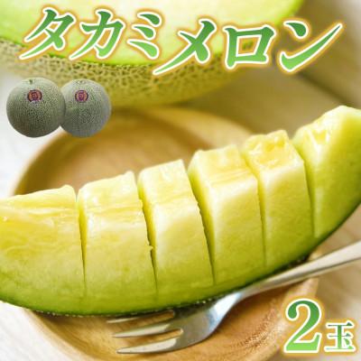 ふるさと納税 富津市 タカミメロン 2玉 メロン工房 川上 DR-5