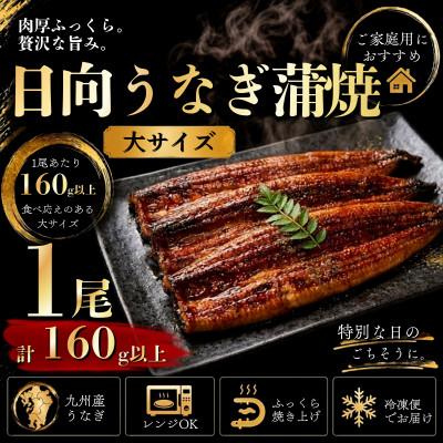 ふるさと納税 日向市 日向うなぎ蒲焼 大1尾(計160g以上)