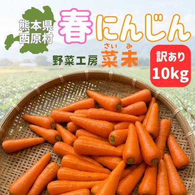 ふるさと納税 西原村 熊本県産 春にんじん(訳あり)10kg 菜未ファーム(西原村)