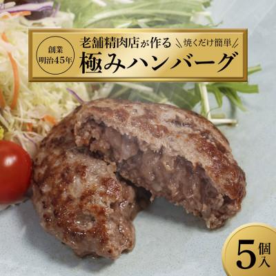 ふるさと納税 舞鶴市 国産無添加ハンバーグ 130g×5個