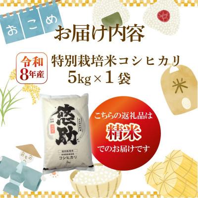 【大特価⭐早い者勝ち‼️】令和8年用 種もみ コシヒカリ 消毒済 箱込み5kg ふるさと納税 新発田市 【9月中旬頃〜発送】先行予約 令和8年産 特別