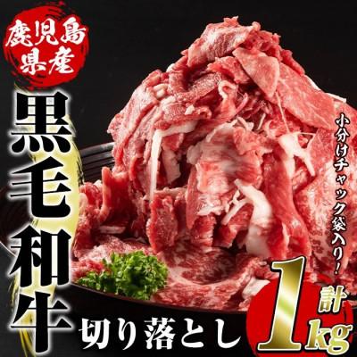 ふるさと納税 枕崎市 鹿児島県産 黒毛和牛 切り落とし 計約1kg(約500g×2パック)(枕崎市)