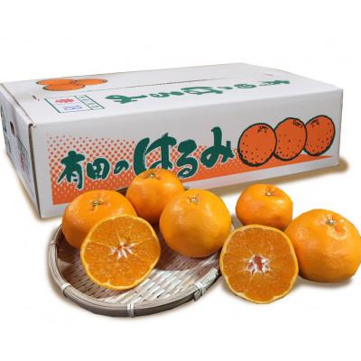 ふるさと納税 印南町 [まごころ手選別]和歌山産 はるみ 約5kg 12玉〜18玉(3L〜Lサイズ)[2027年発送]