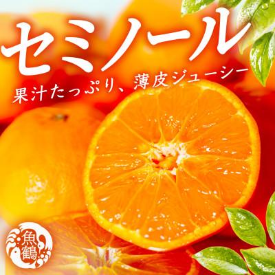 ふるさと納税 紀美野町 ジューシー柑橘 セミノールオレンジ 5kg