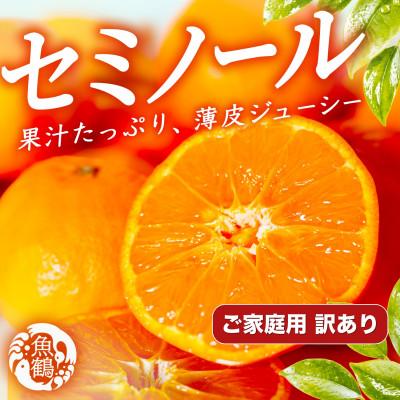 ふるさと納税 紀美野町 [ご家庭用訳あり]ジューシー柑橘 セミノールオレンジ 5kg