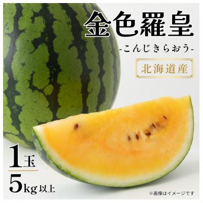ふるさと納税 富良野市 [極甘・驚異の糖度]北海道産 黄肉スイカ「金色羅皇(こんじきらおう)」1玉(5kg以上)8月以降発送