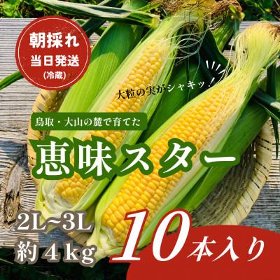 ふるさと納税 伯耆町 [朝採れ当日発送]大山スイートコーン10本|2L〜3Lサイズ(約4kg)|恵味スター