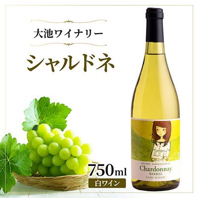 ふるさと納税 山形村 [樽発酵の奥深い味わい]大池ワイン シャルドネ 白ワイン 750ml