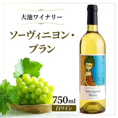 ふるさと納税 山形村 [爽やかな香りと酸味]大池ワイン ソーヴィニヨン・ブラン 白ワイン 750ml