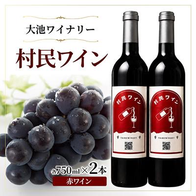 ふるさと納税 山形村 [冷やして飲むのがおススメ]大池ワイン 村民ワイン(赤ワイン) 750ml 2本セット