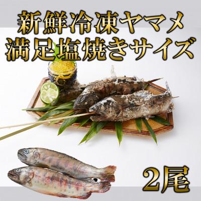 ふるさと納税 三股町 新鮮冷凍ヤマメ塩焼きサイズ約100g×2尾[MI770]