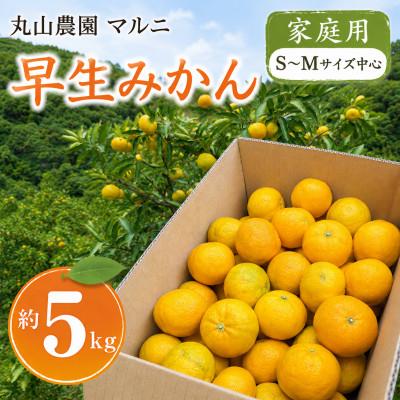 ふるさと納税 日高川町 [家庭用] 早生みかん S〜Mサイズ中心 約5kg 濃厚な甘みとほどよい酸味 和歌山県日高川町産