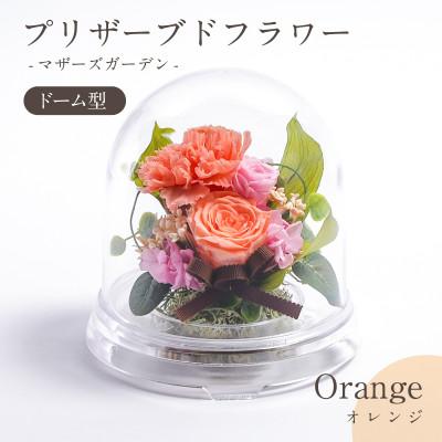 ふるさと納税 羽島市 プリザーブドフラワー ドーム型アレンジ [マザーズガーデン(オレンジ)]