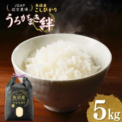 ふるさと納税 小千谷市 魚沼産コシヒカリ 精米 5kg JGAP認証農場 うちがまき絆