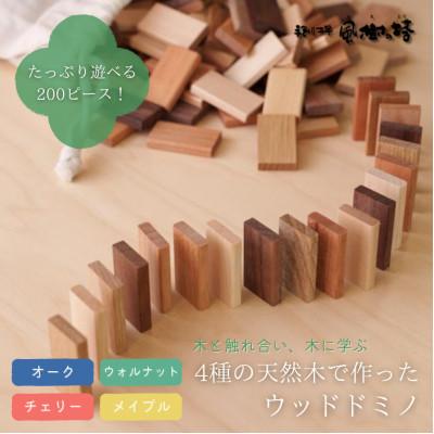 ふるさと納税 奈良市 奈良市 手創り工房風樹の塔 ウッドドミノ 200ピース