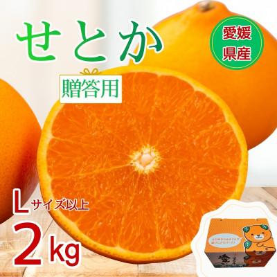 ふるさと納税 伊予市 施設せとか 2kg