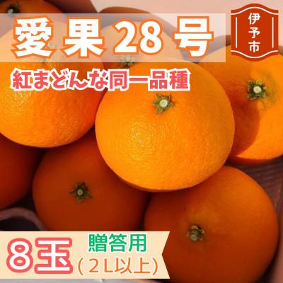 ふるさと納税 伊予市 愛果28号 8玉