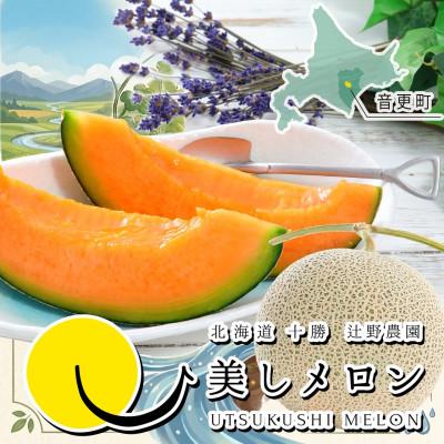 ふるさと納税 音更町 十勝美しメロン 2玉