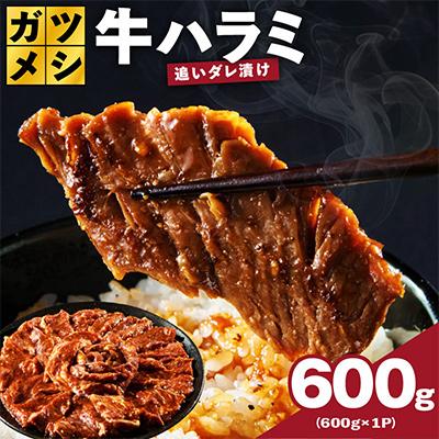 ふるさと納税 泉佐野市 ガツめし牛ハラミ 600g 追いダレ漬け 600g×1 訳アリ