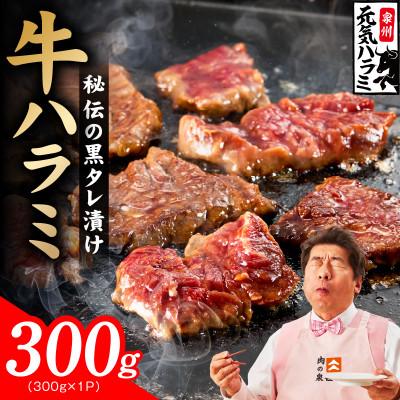 ふるさと納税 泉佐野市 [新登場]極旨黒ダレ 牛ハラミ 300g 小分け 訳あり 規格外 TVで話題