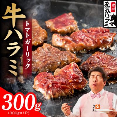 ふるさと納税 泉佐野市 [新登場]トマトガーリック 牛ハラミ 300g 小分け 訳あり 規格外 TVで話題