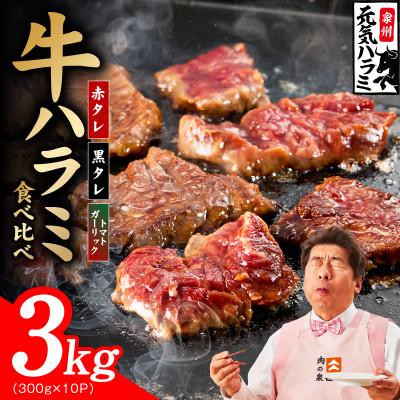 ふるさと納税 泉佐野市 [3種食べ比べ]牛ハラミ肉 3kg(300g×10P) 小分け 訳あり 規格外 TVで話題