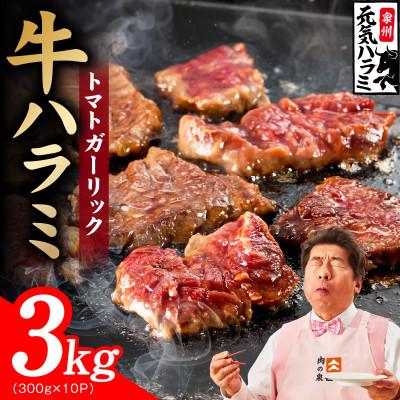 ふるさと納税 泉佐野市 [新登場]トマトガーリック 牛ハラミ肉 3kg(300g×10P) 小分け 訳あり