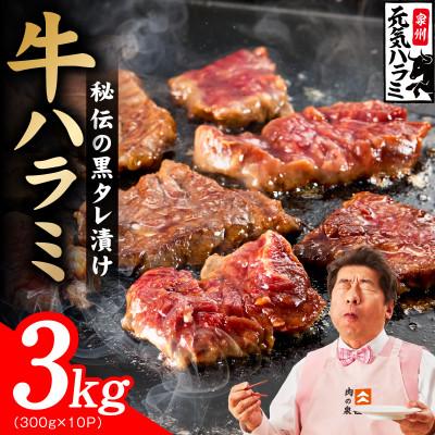 ふるさと納税 泉佐野市 [新登場]極旨黒ダレ 牛ハラミ肉 3kg(300g×10P) 小分け 訳あり 規格外 TVで話題
