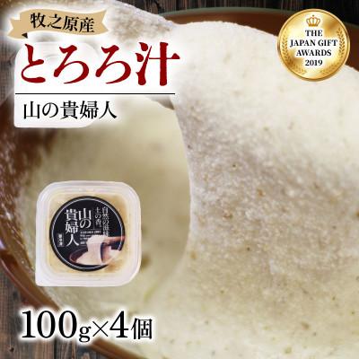 ふるさと納税 牧之原市 とろろ 牧之原産自然薯使用 100g×4パック