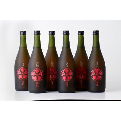 ふるさと納税 湯前町 蔵八梅酒 6本セット (湯前町)