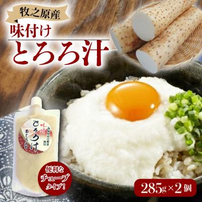 ふるさと納税 牧之原市 味付けとろろ汁[チューブタイプ]285g×2パック