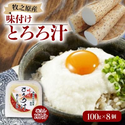 ふるさと納税 牧之原市 味付けとろろ汁 100g×8パック