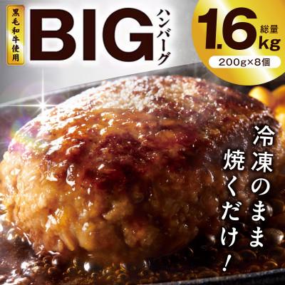 ふるさと納税 泉佐野市 [冷凍のまま焼くだけ!]BIGハンバーグ 200g×8個 黒毛和牛入り BIGサイズ