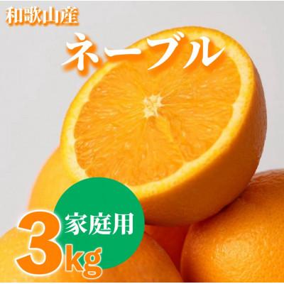ふるさと納税 美浜町 [2027年1月上旬より順次発送]和歌山県産 ネーブル 3kg家庭用(サイズ混合)[まごころ手選別]