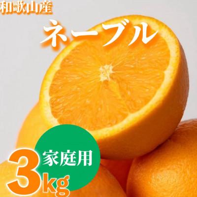ふるさと納税 那智勝浦町 [2027年1月上旬より順次発送]和歌山県産 ネーブル 3kg家庭用(サイズ混合)[まごころ手選別]