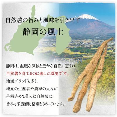 ふるさと納税 牧之原市 【下処理済み】~海と山に囲まれた自然豊かな大地で育った~ 牧之原産自然薯 じねんじょ 600g |  | 02