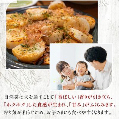 ふるさと納税 牧之原市 【下処理済み】~海と山に囲まれた自然豊かな大地で育った~ 牧之原産自然薯 じねんじょ 600g |  | 03