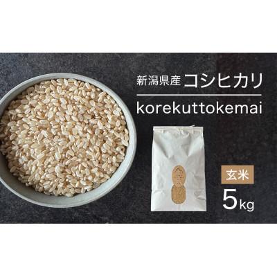 ふるさと納税 新潟市 korekuttokemai新潟県産コシヒカリ5kg玄米