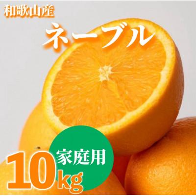 ふるさと納税 那智勝浦町 [2027年1月上旬より順次発送]和歌山県産ネーブル 10kg家庭用(サイズ混合)[まごころ手選別]