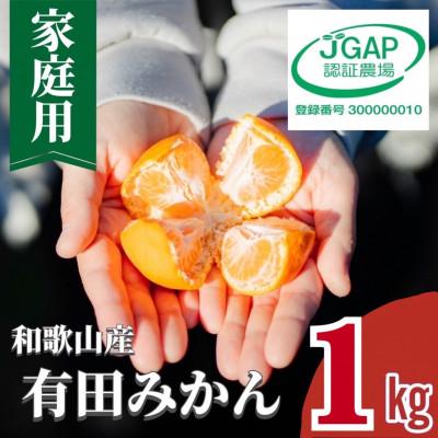 ふるさと納税 美浜町 [2026年11月より順次発送]有田みかん 1kg 家庭用(S〜Lサイズ混合)[まごころ手選別]