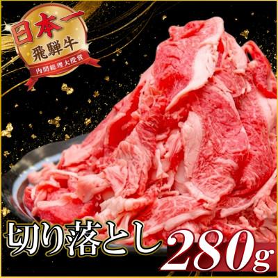 ふるさと納税 羽島市 飛騨牛 切り落とし280g