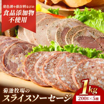 ふるさと納税 岩手町 岩手町「菊池牧場のスライスソーセージ」詰め合わせ1kg (5種類×各2パック)
