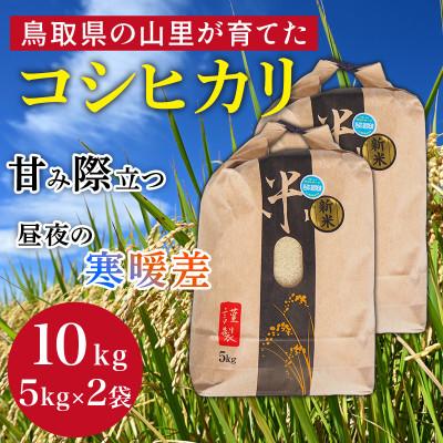 ふるさと納税 伯耆町 [令和8年産]鳥取県産「コシヒカリ」玄米 10kg(5kg×2)