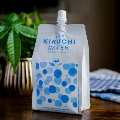ふるさと納税 菊池市 THE KIKUCHI WATER 500ml×30本 合計15L